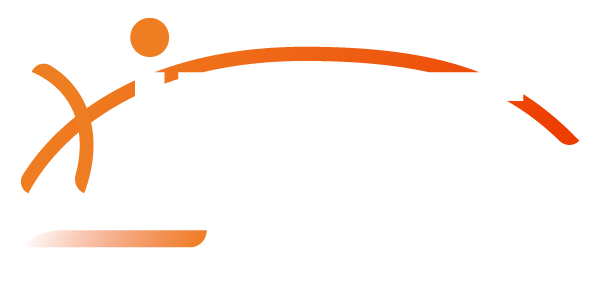 INE Security